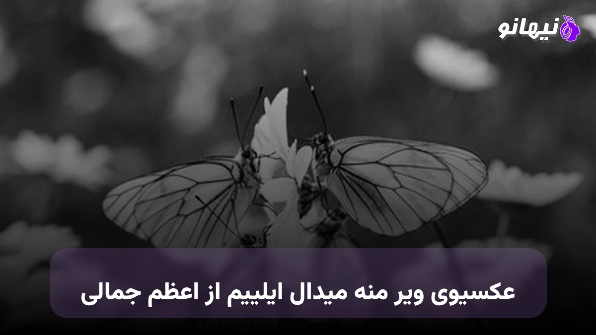 دانلود آهنگ عکسیوی ویر منه میدال ایلییم از اعظم جمالی